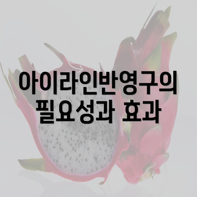 아이라인반영구의 필요성과 효과