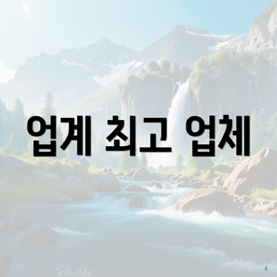 업계 최고 업체