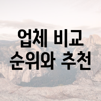 업체 비교 순위와 추천