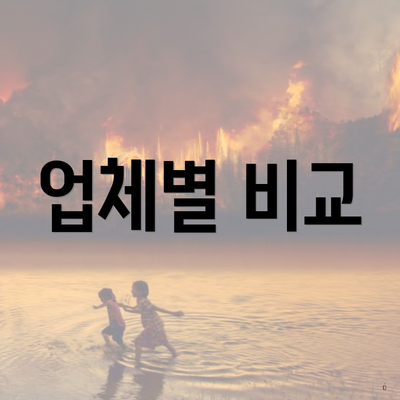 업체별 비교