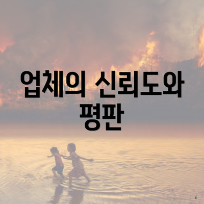 업체의 신뢰도와 평판