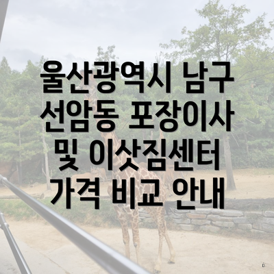 울산광역시 남구 선암동 포장이사 및 이삿짐센터 가격 비교 안내