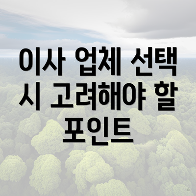 이사 업체 선택 시 고려해야 할 포인트