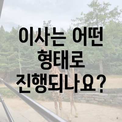 이사는 어떤 형태로 진행되나요?