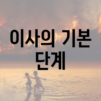 이사의 기본 단계