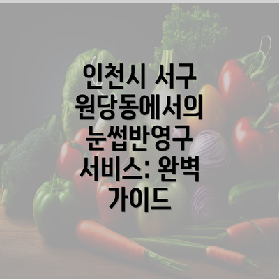 인천시 서구 원당동에서의 눈썹반영구 서비스: 완벽 가이드