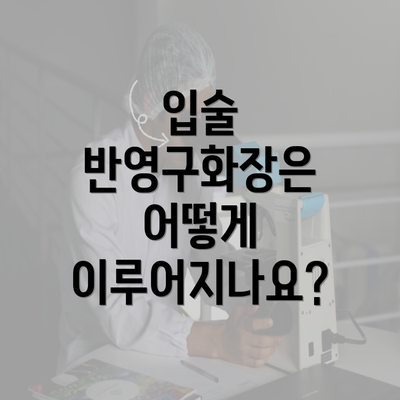 입술 반영구화장은 어떻게 이루어지나요?