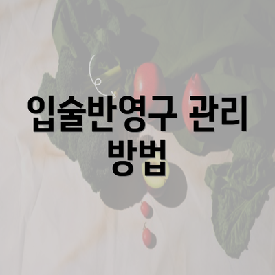 입술반영구 관리 방법