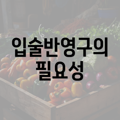 입술반영구의 필요성