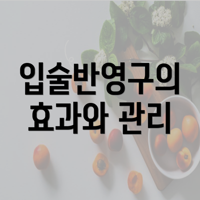 입술반영구의 효과와 관리