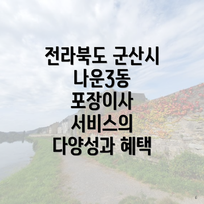 전라북도 군산시 나운3동 포장이사 서비스의 다양성과 혜택