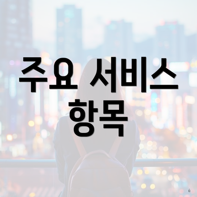 주요 서비스 항목