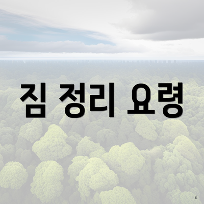 짐 정리 요령