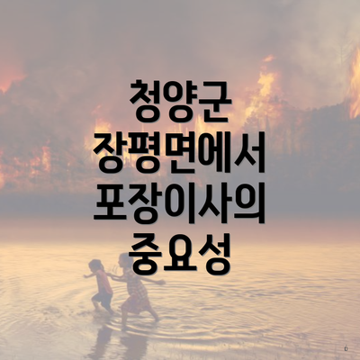 청양군 장평면에서 포장이사의 중요성