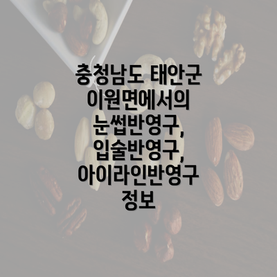 충청남도 태안군 이원면에서의 눈썹반영구, 입술반영구, 아이라인반영구 정보