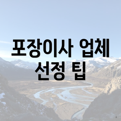 포장이사 업체 선정 팁