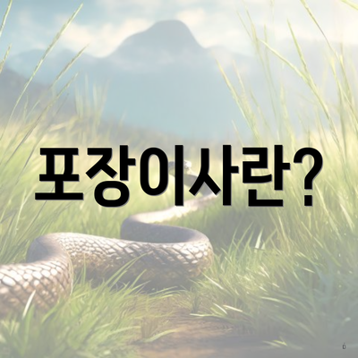 포장이사란?