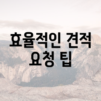 효율적인 견적 요청 팁