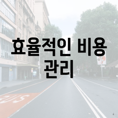 효율적인 비용 관리