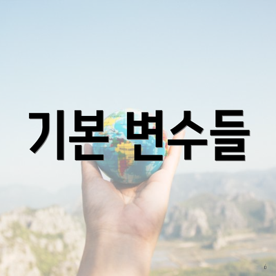 기본 변수들