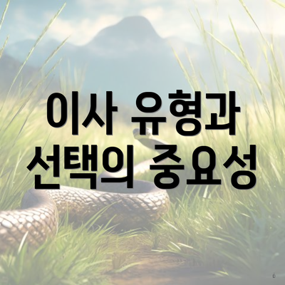 이사 유형과 선택의 중요성