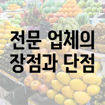 전문 업체의 장점과 단점