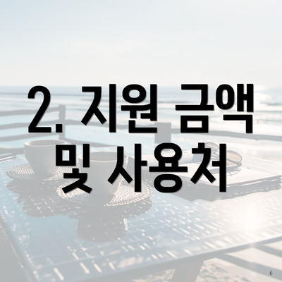 2. 지원 금액 및 사용처
