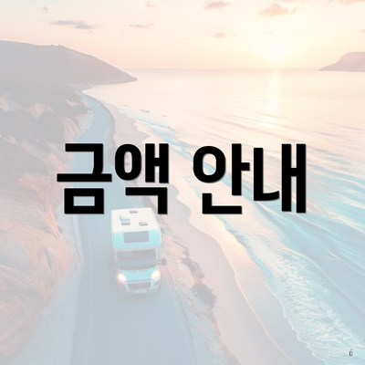 금액 안내