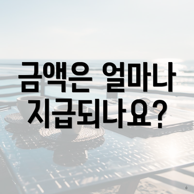 금액은 얼마나 지급되나요?