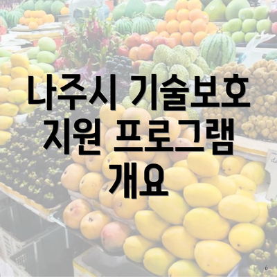 나주시 기술보호 지원 프로그램 개요