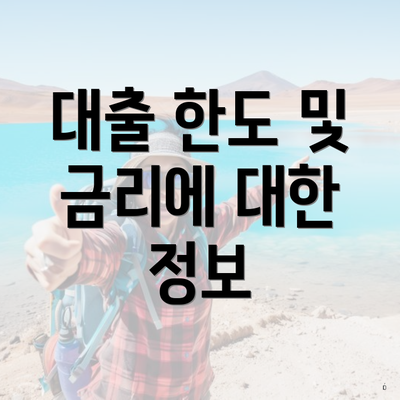대출 한도 및 금리에 대한 정보