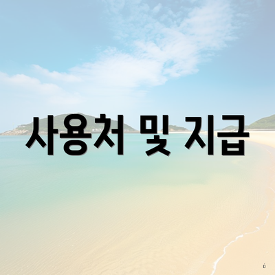 사용처 및 지급