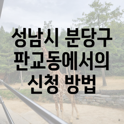 성남시 분당구 판교동에서의 신청 방법