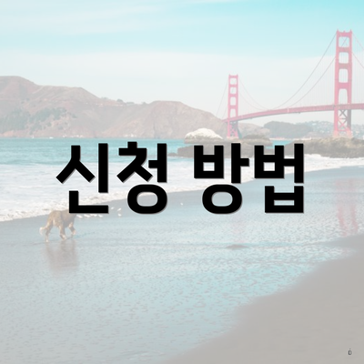 신청 방법