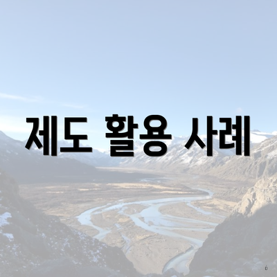 제도 활용 사례