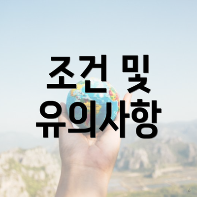 조건 및 유의사항