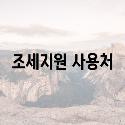 조세지원 사용처