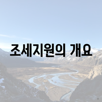 조세지원의 개요