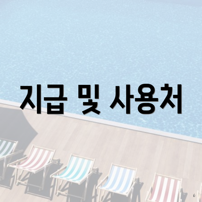 지급 및 사용처