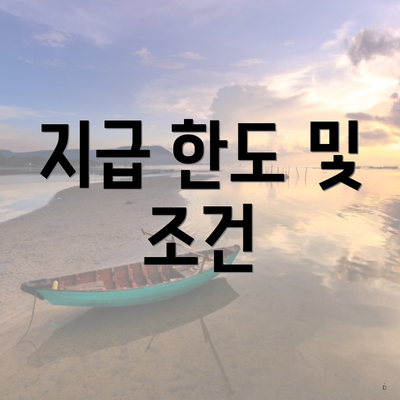 지급 한도 및 조건