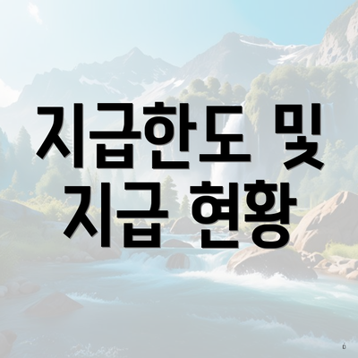 지급한도 및 지급 현황