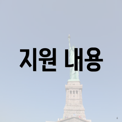 지원 내용