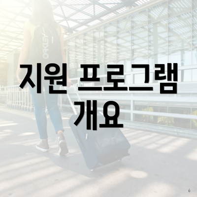 지원 프로그램 개요