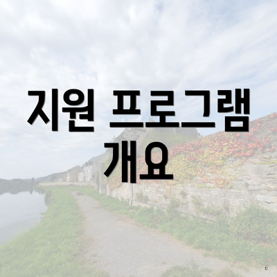 지원 프로그램 개요