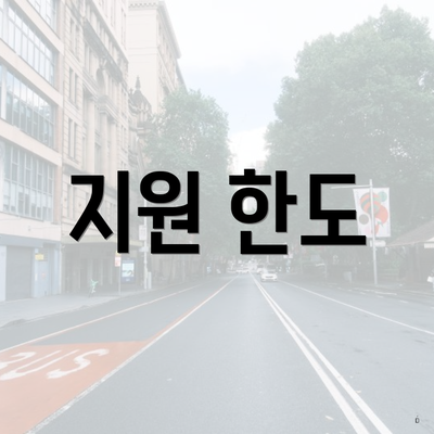 지원 한도