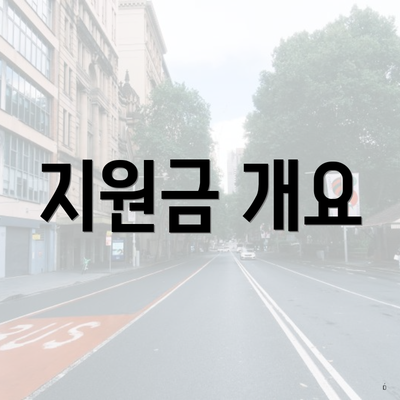 지원금 개요