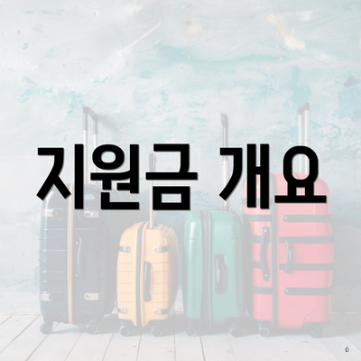 지원금 개요
