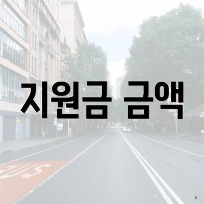 지원금 금액