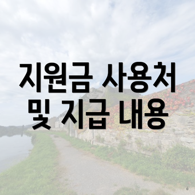 지원금 사용처 및 지급 내용