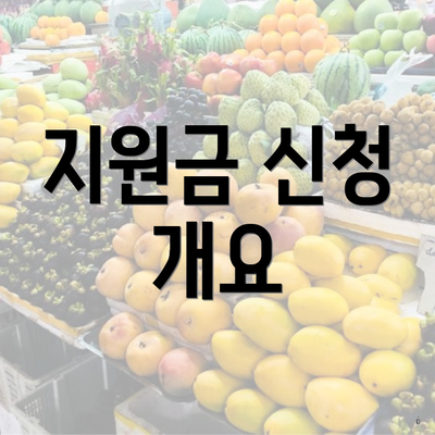 지원금 신청 개요